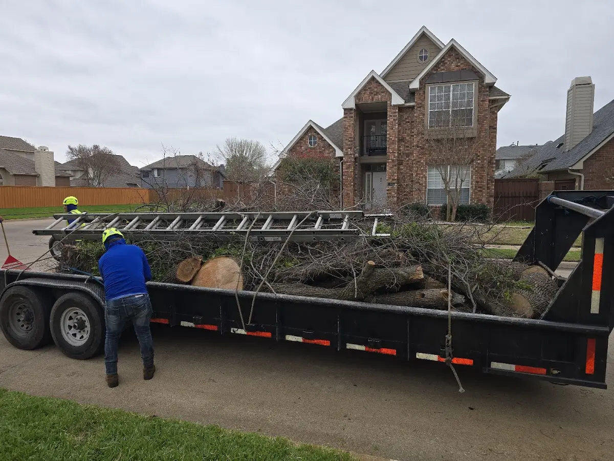 Expert Tree Fertilization with proper safety equipment in Snover